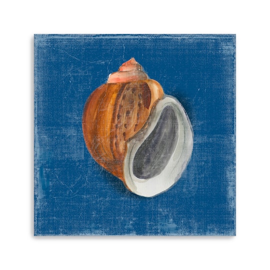 Rosecliff Shell I Canvas Giclee